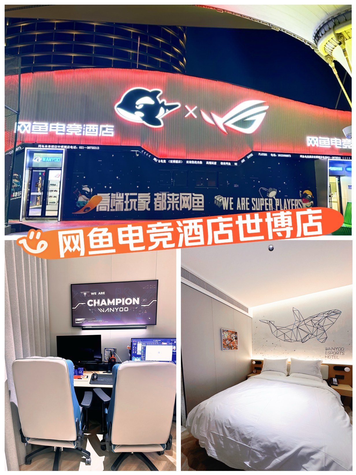 乐鱼体育官方-关于电竞选手的家庭支持:理解、鼓励与陪伴的信息 乐鱼体育官方-关于电竞选手的家庭支持:理解、鼓励与陪伴的信息