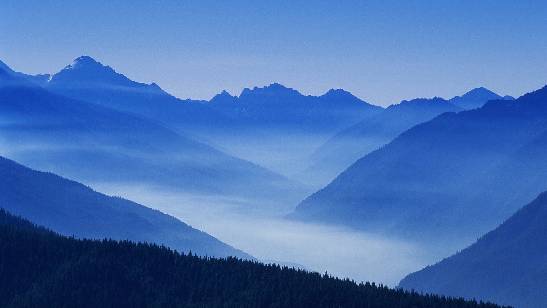 乐鱼体育-广州富力力克山东鲁能，中超榜首震撼，广州富力主力阵容